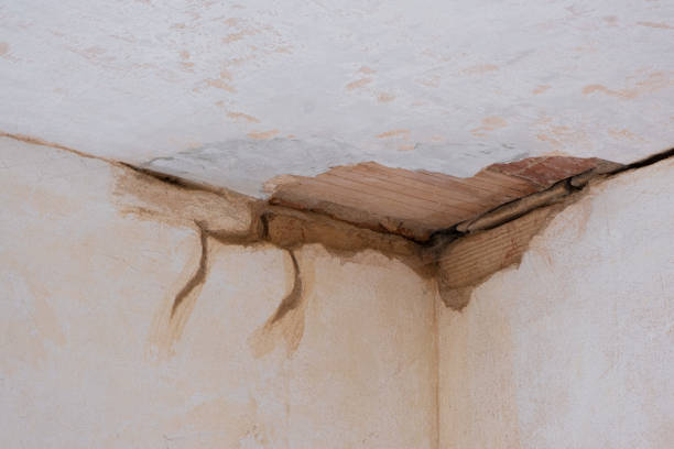 Best Emergency water damage restoration  in Georgetown, IN