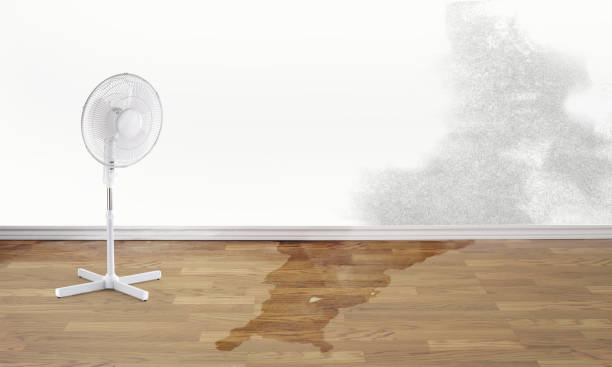 24/7 water damage repair in Georgetown, IN
