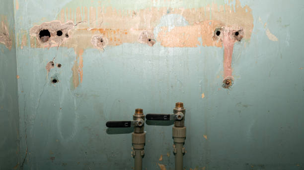 Trusted Georgetown, IN Water damage restoration Experts