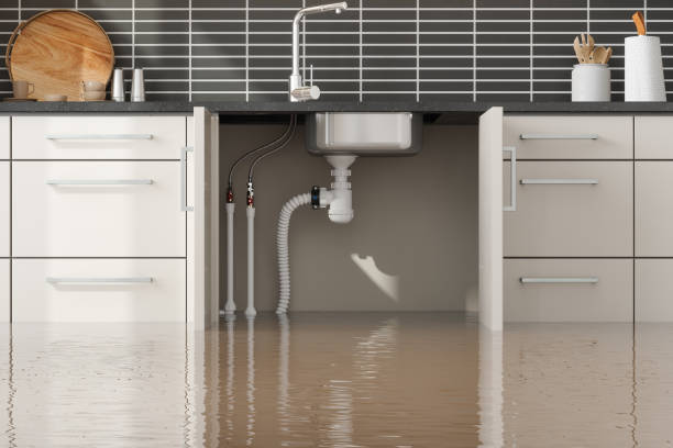 Best 24-hour water damage restoration  in Georgetown, IN