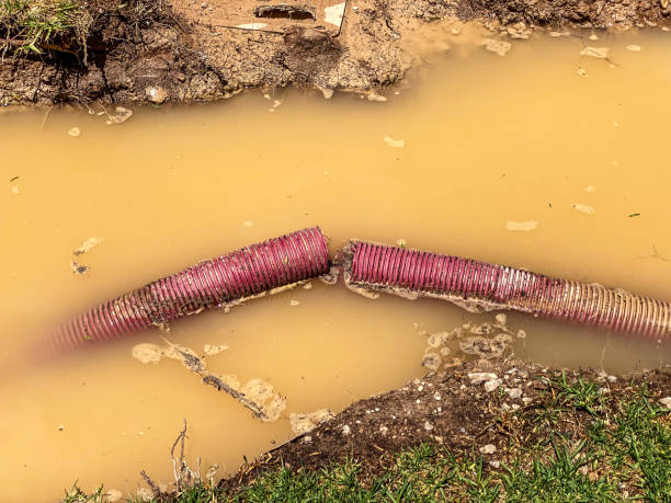 Best 24/7 water damage repair  in Georgetown, IN