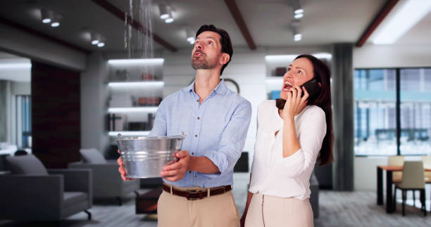 Best Basement water damage restoration  in Georgetown, IN